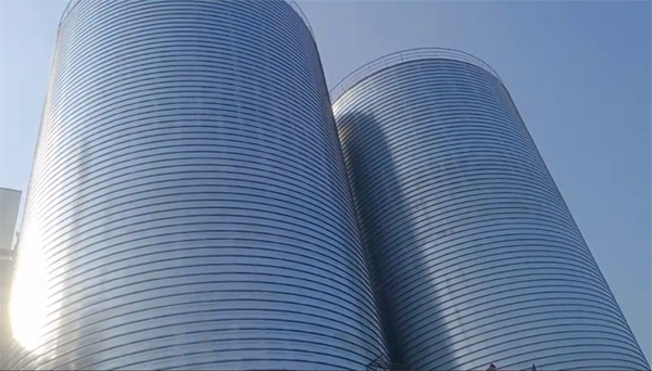 东澳镇2座混凝土高架卷板仓